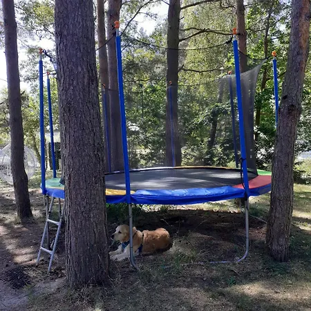 ゲストハウス Zagajnik デンプキ