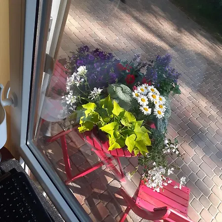 Zagajnik ゲストハウス