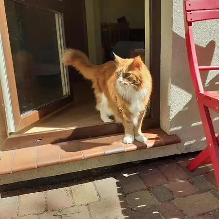 Zagajnik ゲストハウス デンプキ