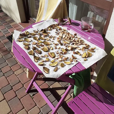 Zagajnik 3* デンプキ