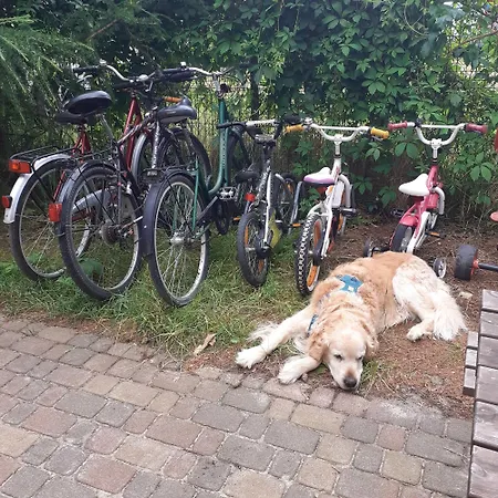 Zagajnik 3* デンプキ