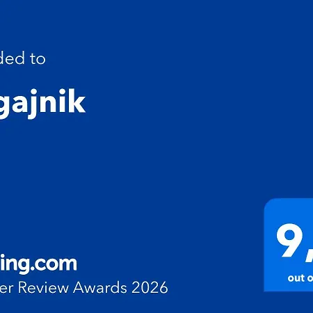 Zagajnik Guest house 3*