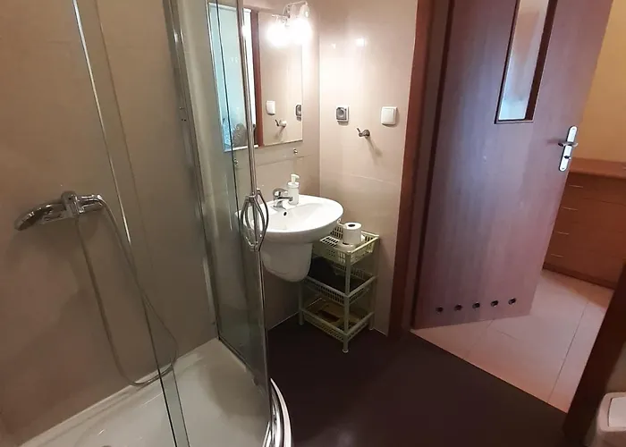 Pensjonat Zagajnik 3*