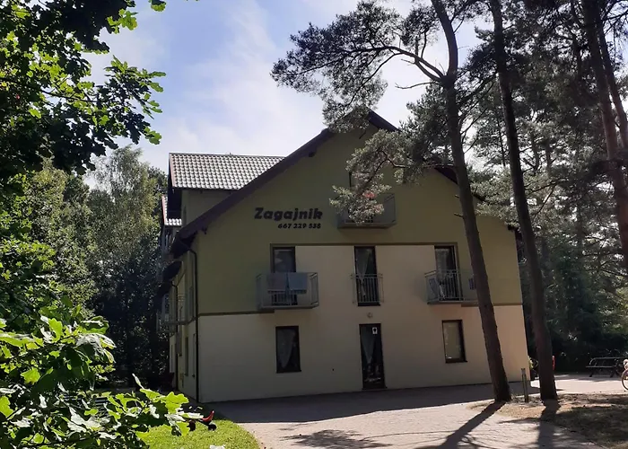 Zagajnik