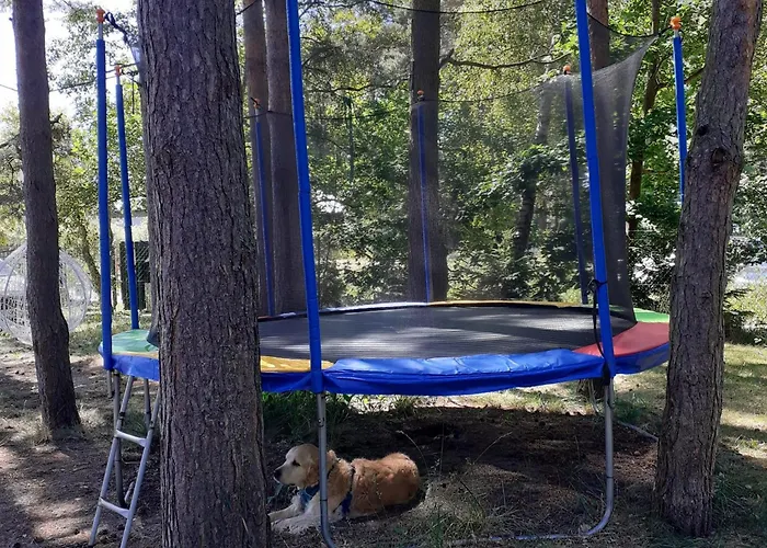 Pensjonat Zagajnik Dębki