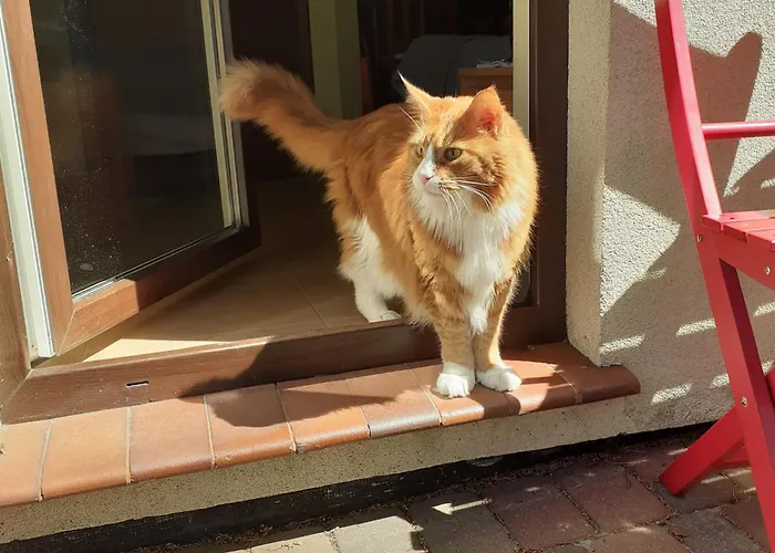 Zagajnik Pensjonat Dębki